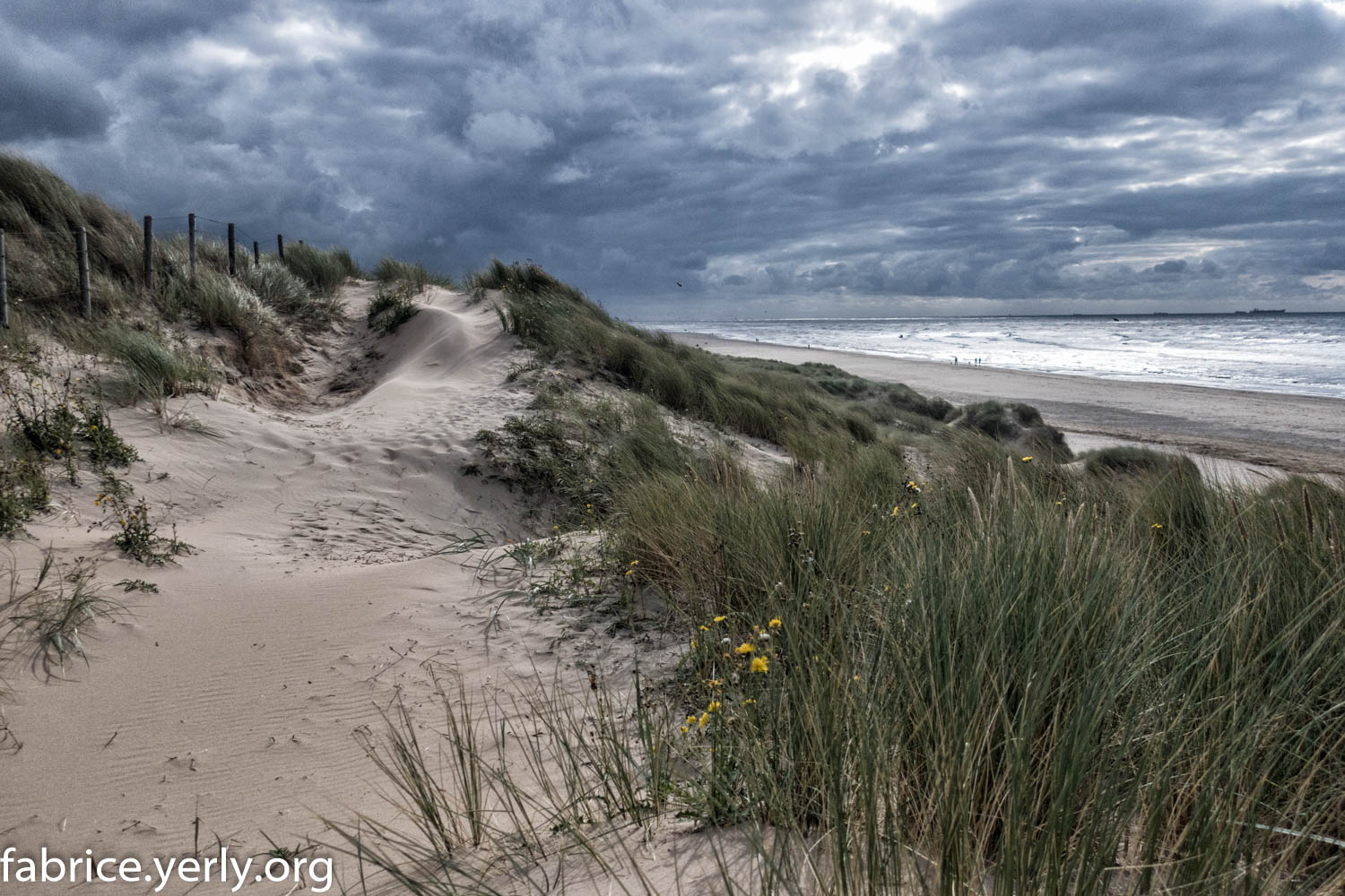 Dunes @ Nordwiik, Netherlands, 2022