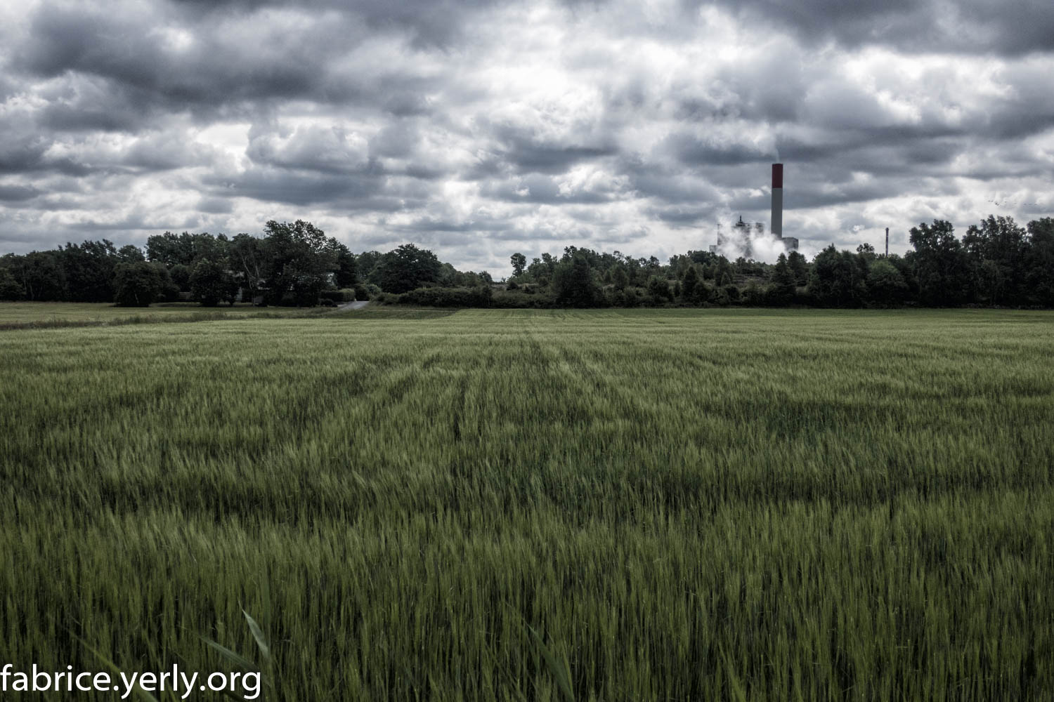 201806140928-IMG_0780-Modifier