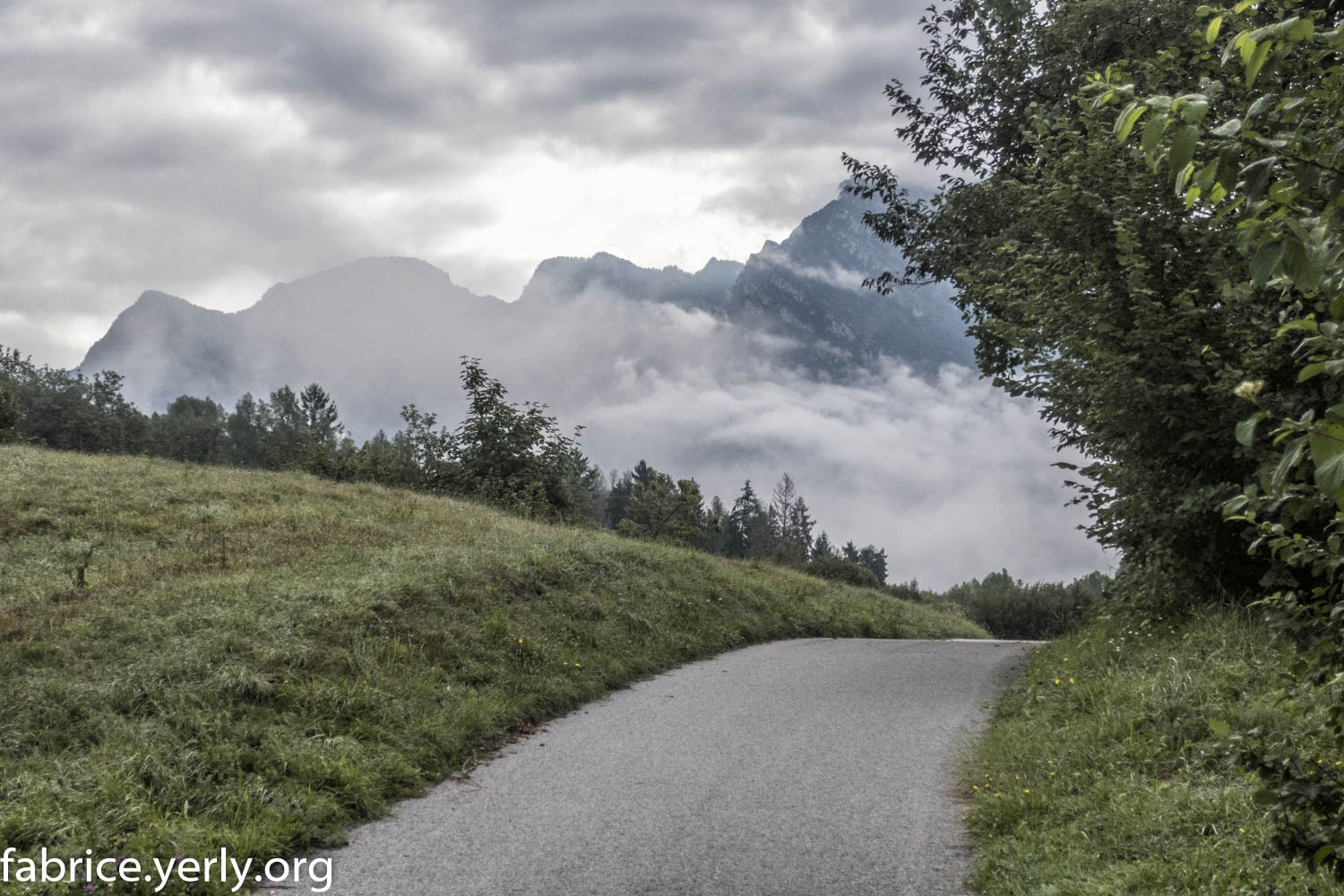 202108300825-IMG_2222-Modifier